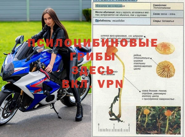 ГАЛЛЮЦИНОГЕННЫЕ ГРИБЫ Волоколамск
