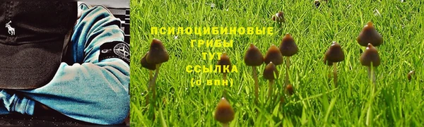 ГАЛЛЮЦИНОГЕННЫЕ ГРИБЫ Волоколамск