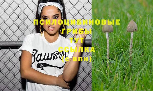 альфа пвп Верхний Тагил