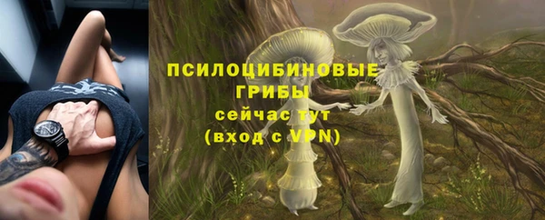 герыч Верея