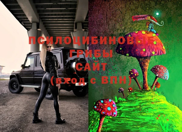 ГАЛЛЮЦИНОГЕННЫЕ ГРИБЫ Волосово
