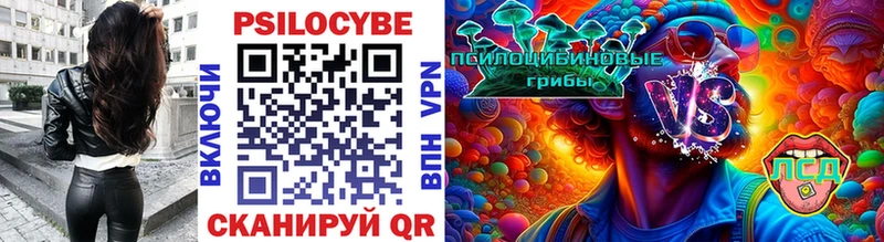 Галлюциногенные грибы Psilocybe  KRAKEN зеркало  Новосиль  где найти наркотики 