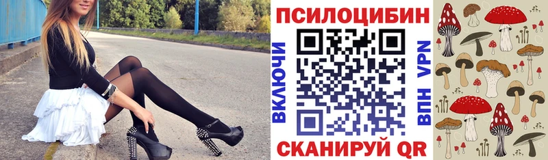 Псилоцибиновые грибы GOLDEN TEACHER Новосиль