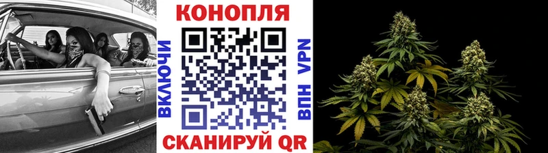 продажа наркотиков  MEGA ONION  Марихуана White Widow  Новосиль 